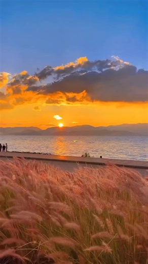 ➖sico➕Bhai ✖️ on TikTok