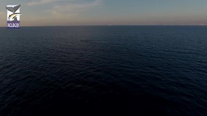 Video & words by our friends at the Pelagos Cetacean Research Institute: "The Mediterranean sperm whales are Endangered by human activities. Only about 200 sperm whales live in the eastern Mediterranean. The Pelagos Cetacean Research Institute is studying them the last 25 years and knows most of them as persons, thanks to photo-identification methods that make each whale distinct and unique. Together with their offspring the female sperm whales form large families (social units) that move togeth