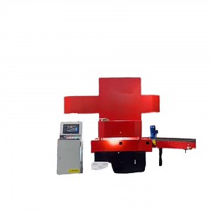 [Hot Item] Automatic Dws System Conveyor Parcel Sorting Machine