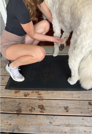 Keep Your Home Clean with the Muddy Mat