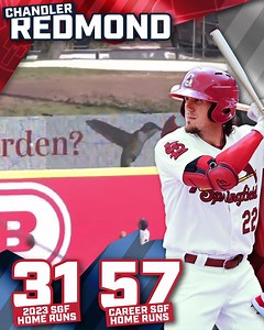 Springfield Cardinals on Reels