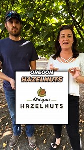 Learning to crack hazelnuts with Oregon Hazelnuts #Oregon #hazelnut #harvestseason #nuts | Farm Babe