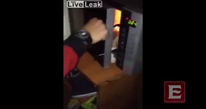 Animal Cruelty Put cat in microwave