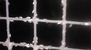 12K views · 67 reactions | LOOK: LANGAW UPDATE Mao ni ang mga langaw sa usa lang ka balay sa Barangay Palkan, Polomolok South Cotabato as of 7pm January 06, 2026. | Brigada News GenSan | Facebook