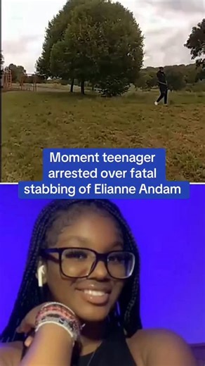 Hassan Sentamu on Trial for Elianne Andam Murder in Croydon ⚖️ #HassanSentamu #japd | JAPD media