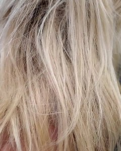 😱😱😱😱 New collection @schwarzkopfusa 😉😘 (APPOINTMENT) 🚩 7171 CORAL WAY 📱 7867153876 🚩 10672 Fountainbleau Blvd 📱3053851918 @holaotaola @alexanderotaola #igoraroyal #beautysalonmiami #vibrance @cosmoprofbeauty @schwarzkopfpro @schwarzkopfusa @flamingobeautysupply #dmsalon #vibrance @cosmoprofbeauty #cosmoprof #kingofhaircolor #hairtransformation @saloncentric #flamingobeautysupply #beforeandafter #highlights #ilovemywork❤ #danystylist #hairsfashion @olaplex #hairstylistmiami #dmsalonspad