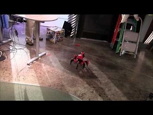 A Battling Spider Toy Robot: The Giz Wiz 1446