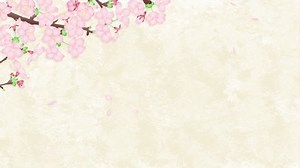 Loop animation of cherry blossom petals falling on a Japanese-style cherry blossom background illustration 4k video material.