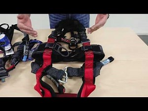 Harness Donning and Adjustment