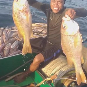 4.3K views · 213 reactions | The largest catch of snapper fish is in the deep sea | Zami Akbar | Facebook