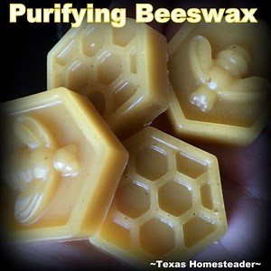 How To Purify Natural Beeswax From The Hive ~ Texas Homesteader ~