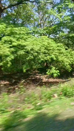 Siliguri Vibes 💚 | Pujarthi Ghosh