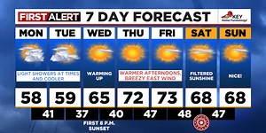 Cool and cloudy with a possible light shower