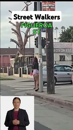 USA Street Walkers Guide #streetwalker