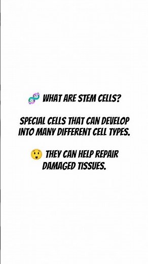 🧬 What are Stem Cells? #medicinefact 😲