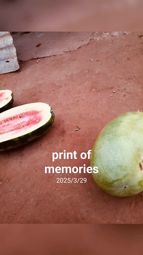 As the sunrises, so is our daily lives in the jungle it prints a new chapter8 #survival | Tmash Mphotho