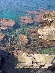 33K views | Nelson Freitas on Reels | Facebook