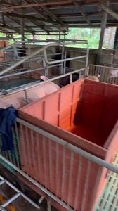 2.1K views · 7 comments | Farrowing Pen at Gestating Pen available din sa atin mga kasaka!!! Sigurado ang kalidad, may floor heater pa ang nursery pen ng mga biik! Floor type at Elevated Type available kasaka!!! | ABA10 AgriBiz | Facebook