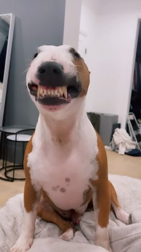 Lauren Riihimaki on Instagram: "😬"