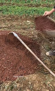Good Husband Help Wife Planting a Tree Seedling and Cooking for His Family Eat Delicious | Sheikh ALI DEEN | Facebook