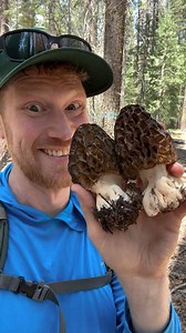 162K views · 5.6K reactions | Learn more about how to safely hunt, identify, and cook edible mushrooms in my book “Passport to Kingdom Fungi” . . . #jamur #mushrooms #hongos | Fascinated By Fungi | Facebook