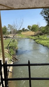 Un ruisseau serein se propage à : vidéo de stock (100 % libre de droit) 3557546831 | Shutterstock