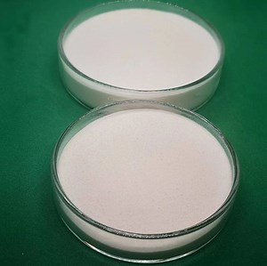 [Hot Item] Natural Oat Beta Glucan Supplement for Immune Support