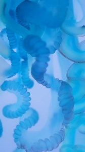 I took two stings from the dreaded Man O War jellyfish #bravewilderness #nature #wildlife #jellyfish | Brave Wilderness