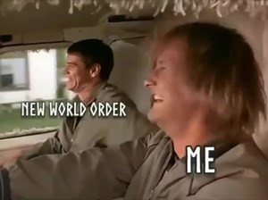 Perplexed Perceptions on Reels