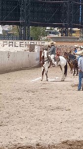 2.9K reactions · 42 shares | #piales | Maestro De Charrería | Facebook