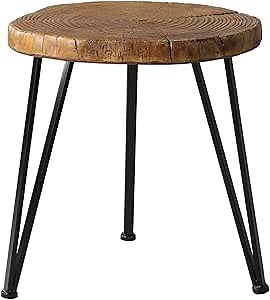 COSIEST Outdoor Faux Wood Tree-Slice Side Table, Natural Oak Hand Painted Finish 19x20inch, 3 Black Metal Legs Plant Stand