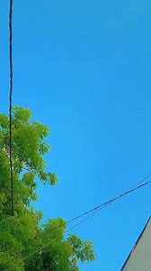 Pyar kaile bani ho | समर मौर्य समर मौर्य