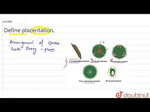 Define placentation.