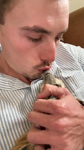 Have you ever kissed a Meerkat? 😘 #meerkat #farmlife #adorable #kisses #fblifestyle | Ruben Namibia