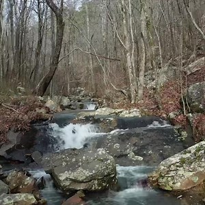 Bushwhacking to secret waterfalls in Arkansas. #arkansas #Arkansas #hikingadventures #hike #hiking | Cody & Kellie