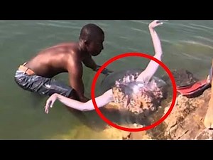 5 VRAIS SIRÈNES CAPTURÉES EN VIDÉO !! (Créatures Mystérieuses)