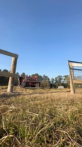 53K views · 4K reactions | Welcome - to pen island | Shirtless Jake's Homestead | Facebook