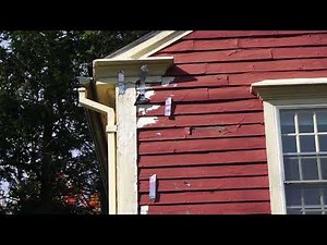 woodpecker and foil repellent