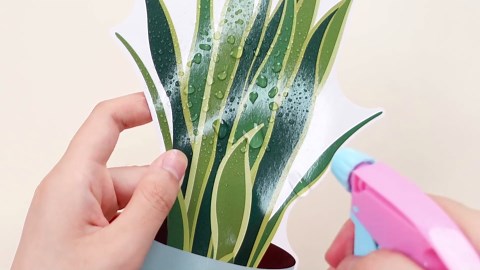 Mooliwe 58 Pcs Summer Plant Bulletin Board Set When We Learn We Grow Greenery Bulletin Board Classroom Decorations Positive Paper Cutouts Potted Eucalyptus Succulent Cutout for Back to School Decor