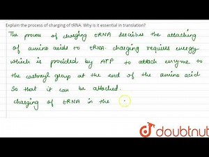 Explain the process of charging of tRNA. Why is it essential in translation?