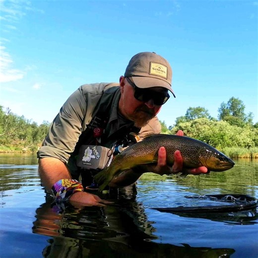 Emerger Ahrex 531#16 @ahrexhooks @harelinedubbin @smhaen | Jörgen Danielsson