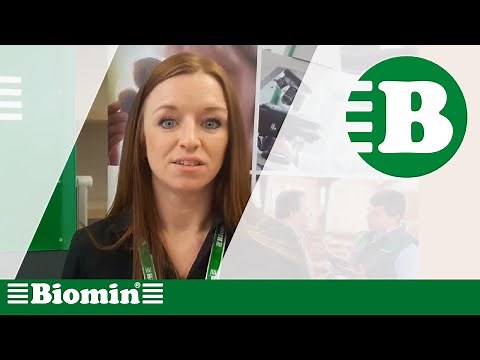 Sow Nutrition Crucial to Raising Pigs Without Antibiotics