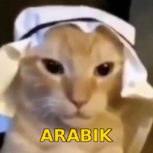 arabik2020 - Twitch
