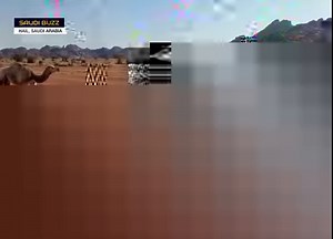 WATCH NOW | With beautiful mountains and historic destinations, the Hail province of Saudi Arabia has something for everyone. | Expats Buzz