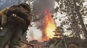 FRIGHTENING: Here's video our ABC7 News photographer, Jackie, captured of a tree exploding into flames as crews try to contain the Caldor fire. The crew runs...Jackie runs. Such a rare look at how just quickly fires can consume ancient, tall trees. ABC7's Wayne Freedman will have more from the scene. https://abc7ne.ws/3yIKkp3 | ABC7 News