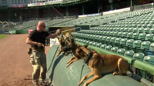 Navy SEALs to display skills Saturday at Delta Dental Stadium