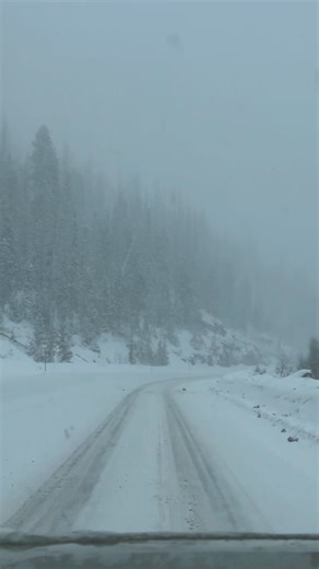 16K views · 1.2K reactions | WOLF CREEK getting lots of snow. Roads are slick. SPRING BREAK ❄️️ 3-14-24 | High Altitude Pagosa | Facebook