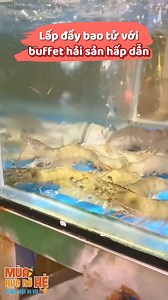 61K views · 117 reactions |  NHA TRANG HÒN TẰM 3N3Đ - NHIỀU CUNG BẬC...