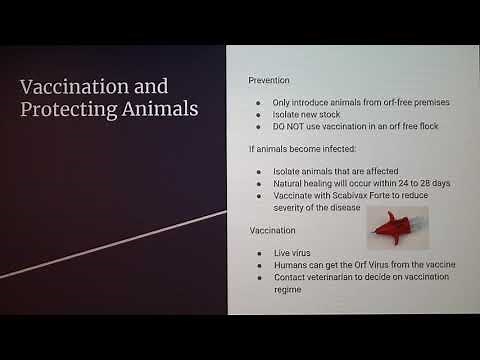 Orf Virus in Sheep and Goats (Sore Mouth)