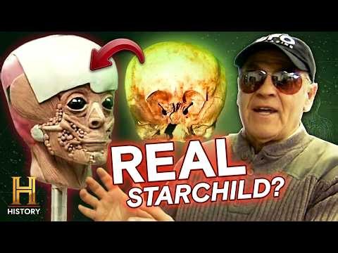 Alien Contact Files: Experiments and Hidden Encounters | UFO Hunters
